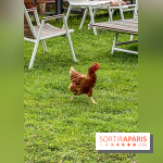 Demeures de Campagne Parc de Coudray : une évasion verte et cocooning à 35 minutes de Paris