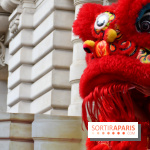 Visuels Nouvel An Lunaire / Nouvel An Chinois - DSC 0598