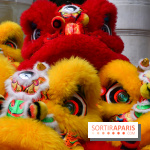 Visuels Nouvel An Lunaire / Nouvel An Chinois - DSC 0519