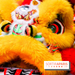 Visuels Nouvel An Lunaire / Nouvel An Chinois - DSC 0517