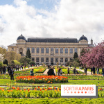 Visuel Paris 5e -  jardin des plantes - museum - printemps - cerisiers