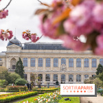 Visuel Paris 5e -  jardin des plantes - museum - printemps - cerisiers