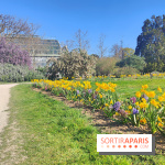 Visuel Paris 5e - jardin des plantes serres