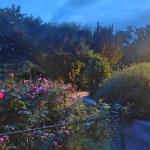 Visuel Paris 4e - square Barye nuit