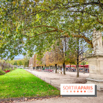 Visuel Paris 1er - jardin des Tuileries automne 
