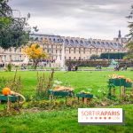 Visuel Paris 1er - jardin des Tuileries automne 