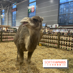 Salon de l'agriculture 2024 - image00057