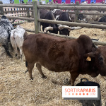 Salon de l'agriculture 2024 - image00058