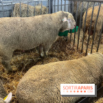 Salon de l'agriculture 2024 - image00049