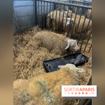 Salon de l'agriculture 2024 - image00047