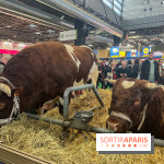 Salon de l'agriculture 2024 - image00041