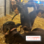 Salon de l'agriculture 2024 - image00034