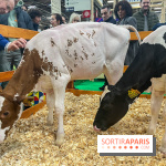 Salon de l'agriculture 2024