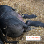 Salon de l'agriculture 2024 - image00030