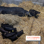 Salon de l'agriculture 2024 - image00029