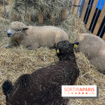 Salon de l'agriculture 2024 - image00027