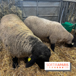 Salon de l'agriculture 2024 - image00023