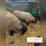 Salon de l'agriculture 2024 - image00022