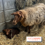 Salon de l'agriculture 2024 - image00020