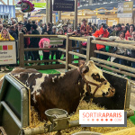 Salon de l'agriculture 2024