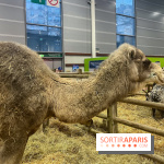 Salon de l'agriculture 2024 - image00004