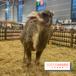 Salon de l'agriculture 2024