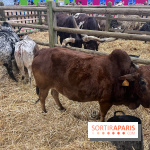 Salon de l'agriculture 2024