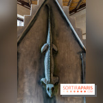 Château de Pierrefonds, nos photos -  A7C7133