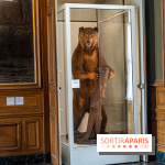 Château de Compiègne -  A7C7329