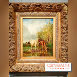 La voix de la forêt : l'exposition qui nous reconnecte avec la nature au Petit Palais - photos - IMG20240304101400