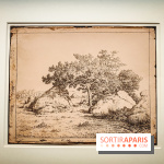 La voix de la forêt : l'exposition qui nous reconnecte avec la nature au Petit Palais - photos - IMG20240304100733