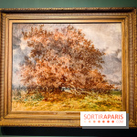 La voix de la forêt : l'exposition qui nous reconnecte avec la nature au Petit Palais - photos - IMG20240304101038