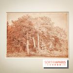 La voix de la forêt : l'exposition qui nous reconnecte avec la nature au Petit Palais - photos - IMG20240304101014