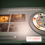 La voix de la forêt : l'exposition qui nous reconnecte avec la nature au Petit Palais - photos - IMG20240304101321