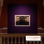 Exposition T'ang Haywen au Musée Guimet à Paris