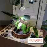 Suivre les ondes, nos photos de l'expo à l'Institut suédois - IMG 2978