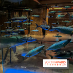 Grande Galerie de l'évolution- visuels 2024 - image00110