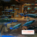 Grande Galerie de l'évolution- visuels 2024 - image00111