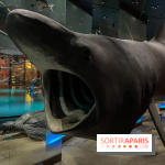 Grande Galerie de l'évolution- visuels 2024 - image00114