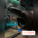 Grande Galerie de l'évolution- visuels 2024 - image00115