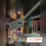 Grande Galerie de l'évolution- visuels 2024 - image00116