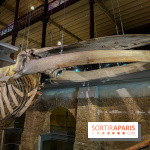 Grande Galerie de l'évolution- visuels 2024 - image00117