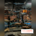 Grande Galerie de l'évolution- visuels 2024 - image00100