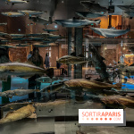 Grande Galerie de l'évolution- visuels 2024 - image00101