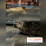 Grande Galerie de l'évolution- visuels 2024 - image00102