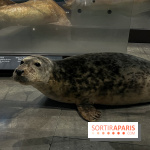 Grande Galerie de l'évolution- visuels 2024 - image00103