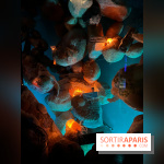 Grande Galerie de l'évolution- visuels 2024 - image00105