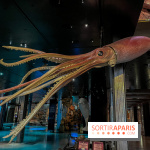 Grande Galerie de l'évolution- visuels 2024 - image00108