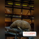 Grande Galerie de l'évolution- visuels 2024