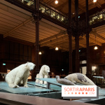 Grande Galerie de l'évolution- visuels 2024 - image00091